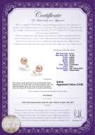 product certificate: P-AAAA-910-E