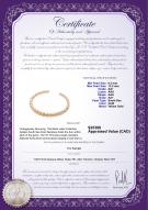 product certificate: SSEA-G-N-C307