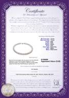 product certificate: SSEA-W-AAA-1213-N