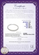 product certificate: SSEA-W-AAA-1417-N