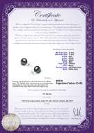 product certificate: TAH-1011-E