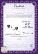 product certificate: TAH-89-E