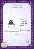 product certificate: TAH-B-AA-1213-R-Ireland