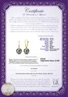 product certificate: TAH-B-AAA-1011-E-Elements