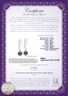 product certificate: TAH-B-AAA-1011-E-Olivia