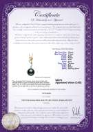 product certificate: TAH-B-AAA-1011-P-Brianna