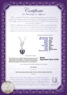 product certificate: TAH-B-AAA-1011-P-Camille