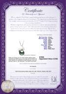 Product certificate: TAH-B-AAA-1011-P-Dominique