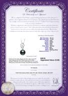 product certificate: TAH-B-AAA-1011-P-Hilary