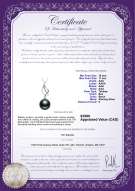 product certificate: TAH-B-AAA-1011-P-Leah