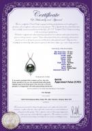 product certificate: TAH-B-AAA-1011-P-Susan