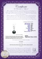 Product certificate: TAH-B-AAA-1011-P-Virginia