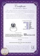 product certificate: TAH-B-AAA-1011-R-Maddie