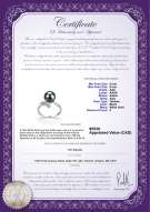 product certificate: TAH-B-AAA-89-R-Grace