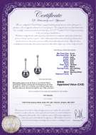 product certificate: TAH-B-AAA-910-E-Ariel