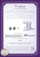 product certificate: TAH-B-AAA-910-E-Eternity-YG-L