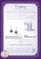 product certificate: TAH-B-AAA-910-E-Mystical