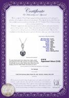 product certificate: TAH-B-AAA-910-P-Shamara