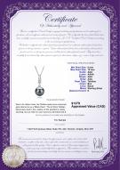 product certificate: TAH-B-AAA-910-P-Thelma