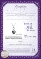 product certificate: TAH-B-AAA-910-P-Valena