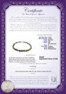 product certificate: TAH-Multi-Bar-810-N-17