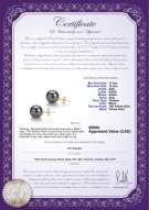 product certificate: TE1PC11A-Y
