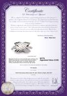 Product certificate: W-18K-Oxford-Clasp
