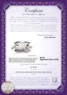 product certificate: W-18K-Oxford-Clasp