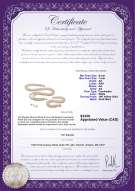 Product certificate: W-AA-67-S-DBL