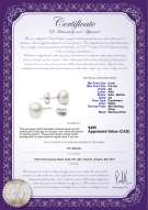 product certificate: W-AA-885-E-SS