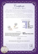 product certificate: W-AAA-859-E-Akoy
