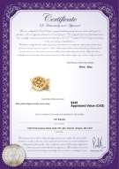 Product certificate: Y-Alloy-DBL-Round-Clasp-Nala