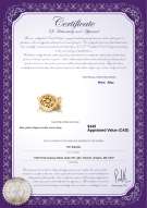 product certificate: Y-Alloy-DBL-Round-Clasp-Nala