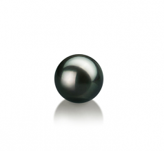 7-8mm AAA Quality Japanese Akoya Loose Pearl in Black