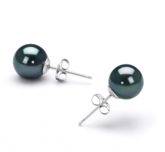 7.5-8mm AAA Quality Japanese Akoya Cultured Pearl Earring Pair in Black