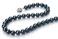 7.5-8mm AAA Quality Japanese Akoya Cultured Pearl Necklace in Black