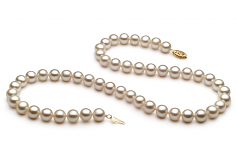 6.5-7.5mm AA Quality Freshwater Cultured Pearl Necklace in White