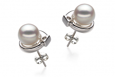 7-8mm AA Quality Japanese Akoya Cultured Pearl Earring Pair in Angelina White