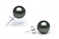 10-11mm AAA Quality Tahitian Cultured Pearl Earring Pair in Black