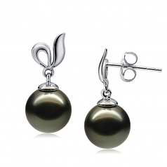 9-10mm AAA Quality Tahitian Cultured Pearl Earring Pair in Jeannie Black