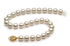 7.5-8mm AAA Quality Japanese Akoya Cultured Pearl Necklace in White