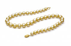 9-11.7mm AAA Quality South Sea Cultured Pearl Necklace in Gold