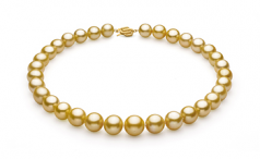 11.5-15.2mm AAA+ Quality South Sea Cultured Pearl Necklace in Gold