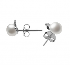 5-6mm AAA Quality Freshwater Cultured Pearl Earring Pair in Aria White