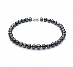 11.1-14.6mm AA+ Quality Tahitian Cultured Pearl Necklace in Multicolor