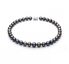 11.1-13.5mm AA+ Quality Tahitian Cultured Pearl Necklace in Multicolor