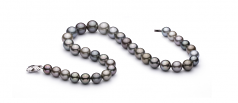 11-14.6mm AAA Quality Tahitian Cultured Pearl Necklace in Multicolor