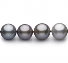 11-14.6mm AAA Quality Tahitian Cultured Pearl Necklace in Multicolor