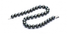 12-12.9mm AAA Quality Tahitian Cultured Pearl Necklace in 18'' Black