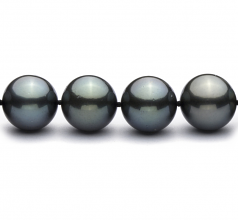 12-12.9mm AAA Quality Tahitian Cultured Pearl Necklace in 18'' Black